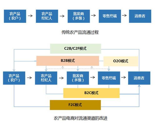 2020年農產品電商 五大發展趨勢與電子商務服務深度融合